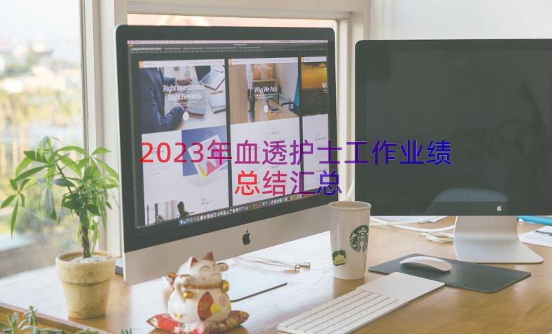 2023年血透护士工作业绩总结（汇总15篇）