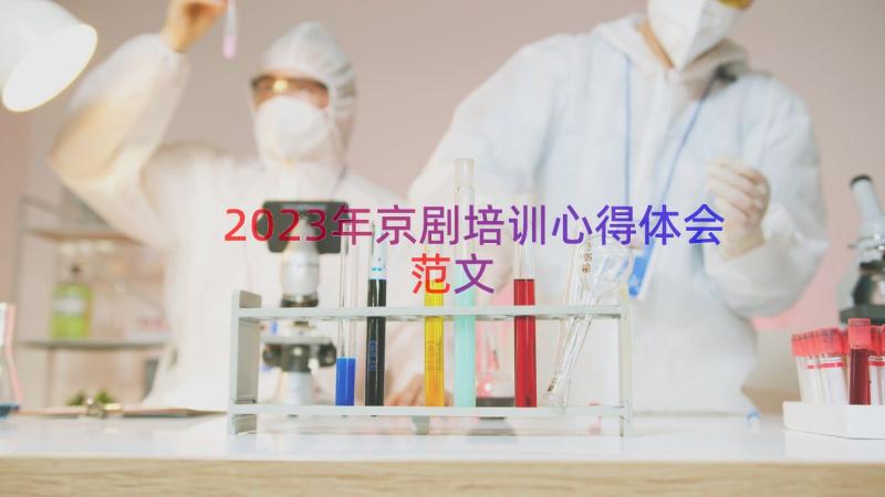 2023年京剧培训心得体会范文（16篇）