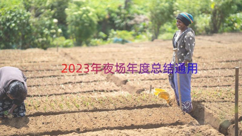 2023年夜场年度总结（通用15篇）