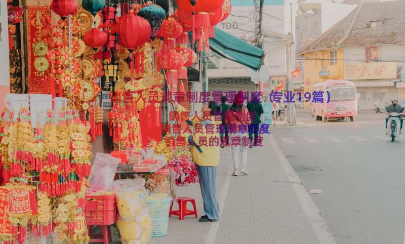 销售人员规章制度管理制度（专业19篇）