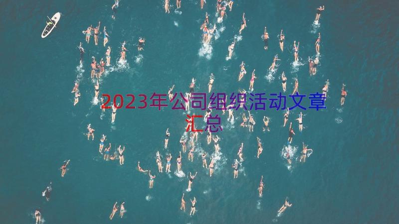 2023年公司组织活动文章（汇总15篇）