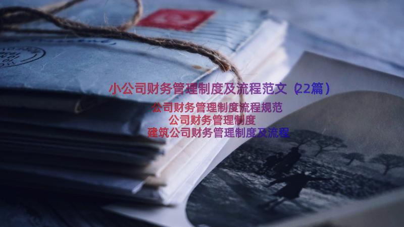 小公司财务管理制度及流程范文（22篇）