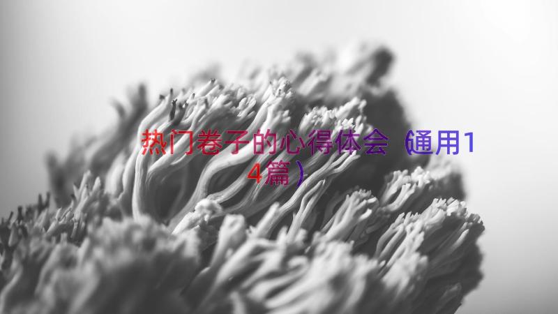 热门卷子的心得体会（通用14篇）