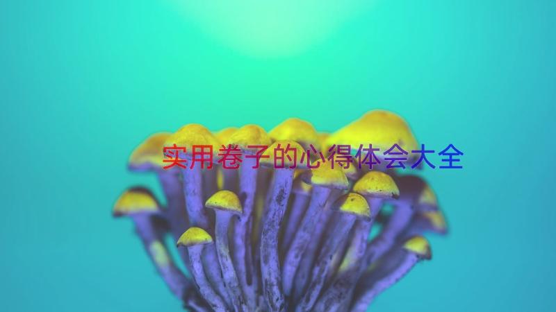 实用卷子的心得体会大全（13篇）