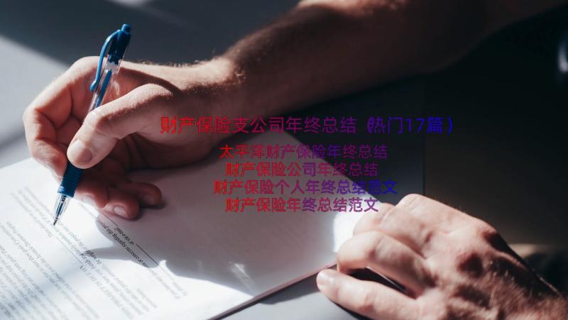 财产保险支公司年终总结（热门17篇）