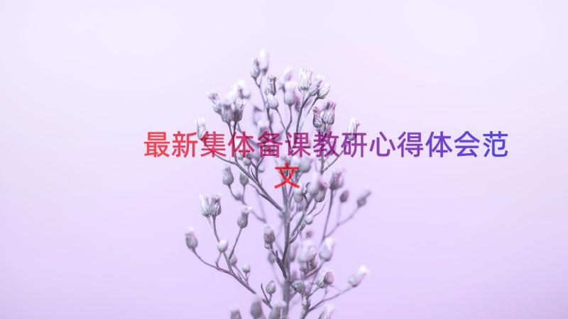 最新集体备课教研心得体会范文（16篇）