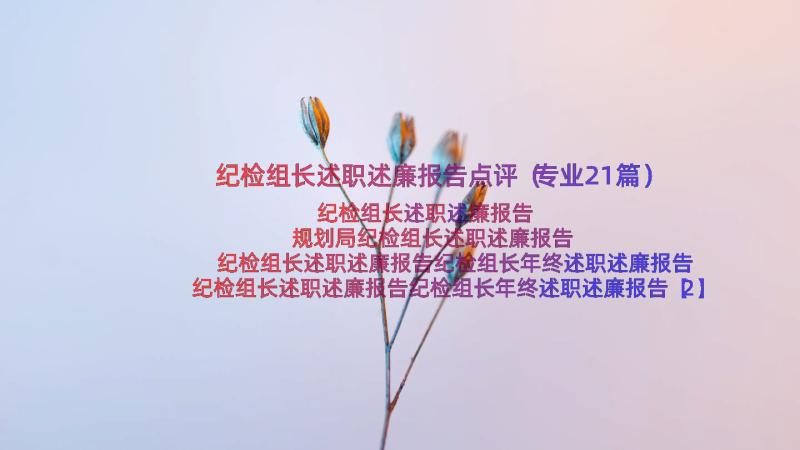 纪检组长述职述廉报告点评（专业21篇）