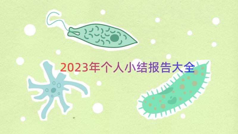 2023年个人小结报告大全（20篇）