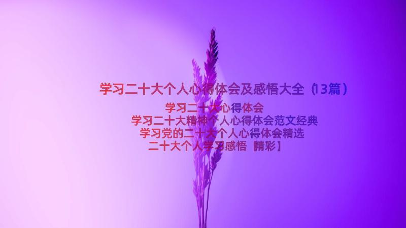 学习二十大个人心得体会及感悟大全（13篇）