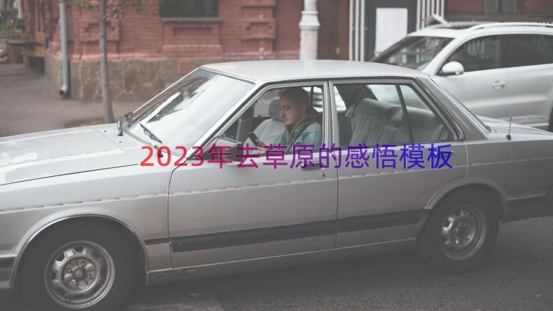 2023年去草原的感悟（模板15篇）