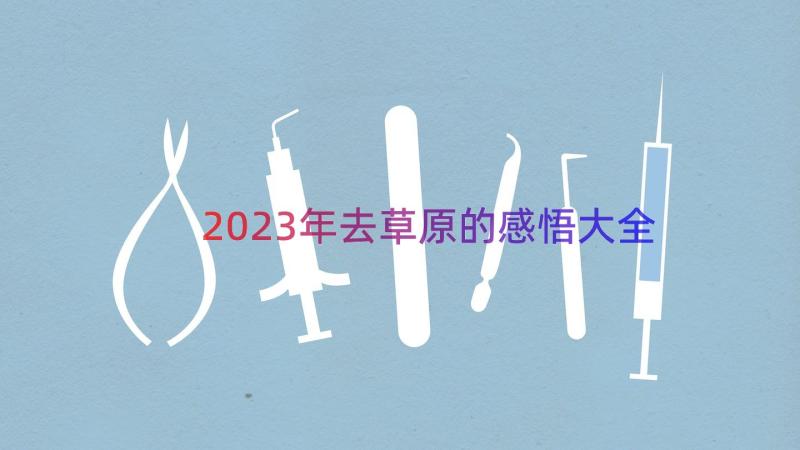 2023年去草原的感悟大全（14篇）