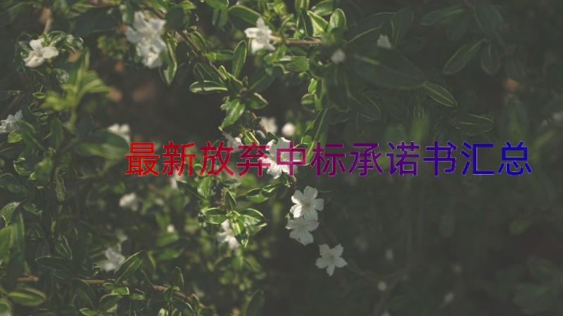 最新放弃中标承诺书（汇总14篇）