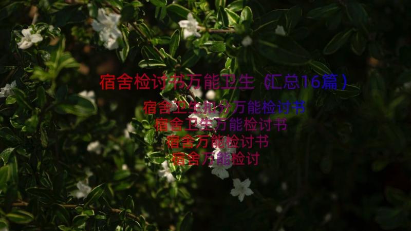 宿舍检讨书万能卫生（汇总16篇）