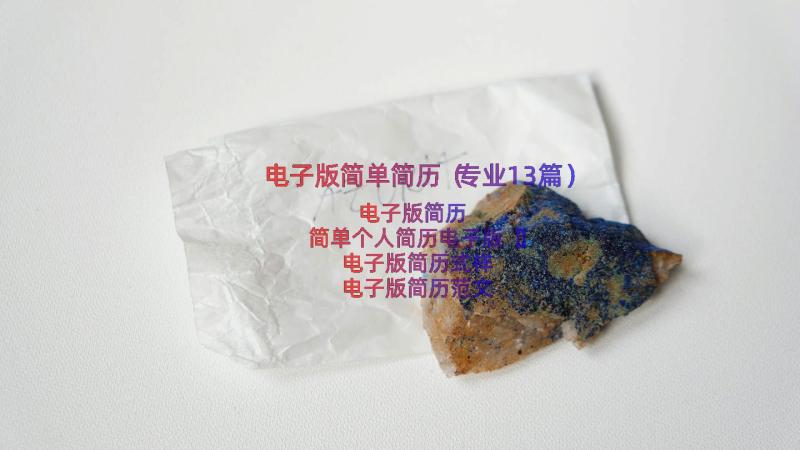 电子版简单简历（专业13篇）