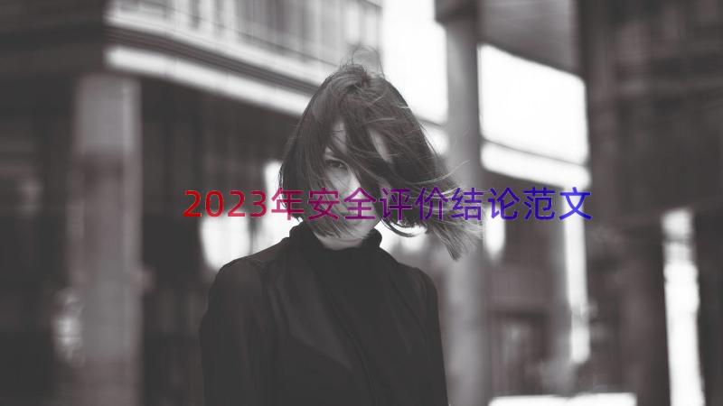 2023年安全评价结论范文（14篇）