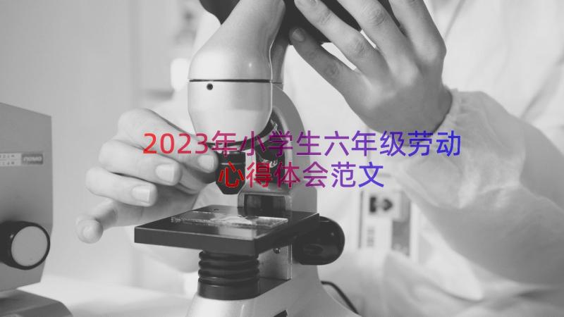 2023年小学生六年级劳动心得体会范文（16篇）