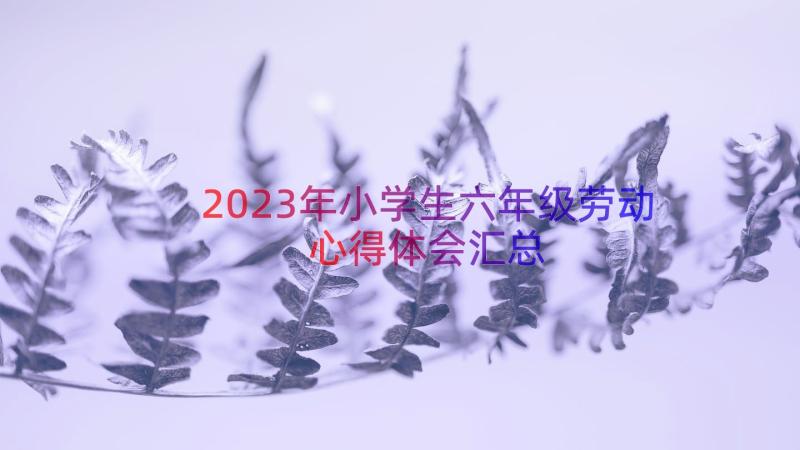 2023年小学生六年级劳动心得体会（汇总18篇）