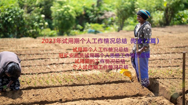 2023年试用期个人工作情况总结（专业12篇）