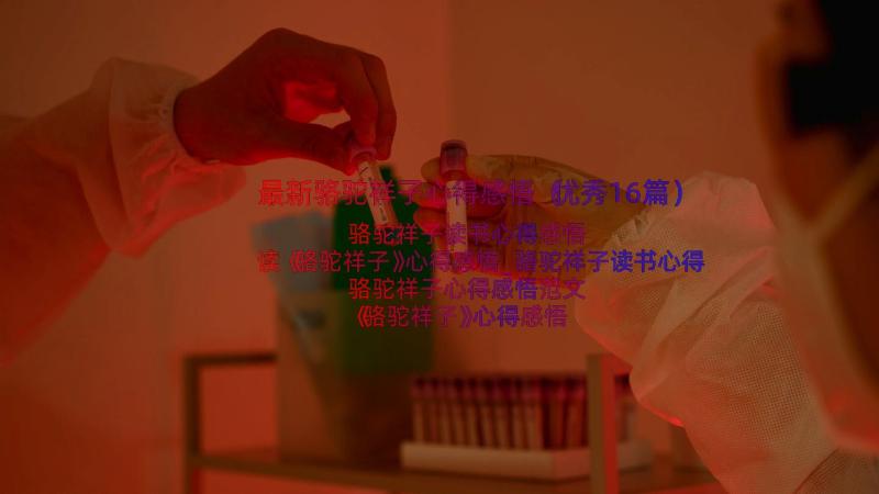 最新骆驼祥子心得感悟（优秀16篇）