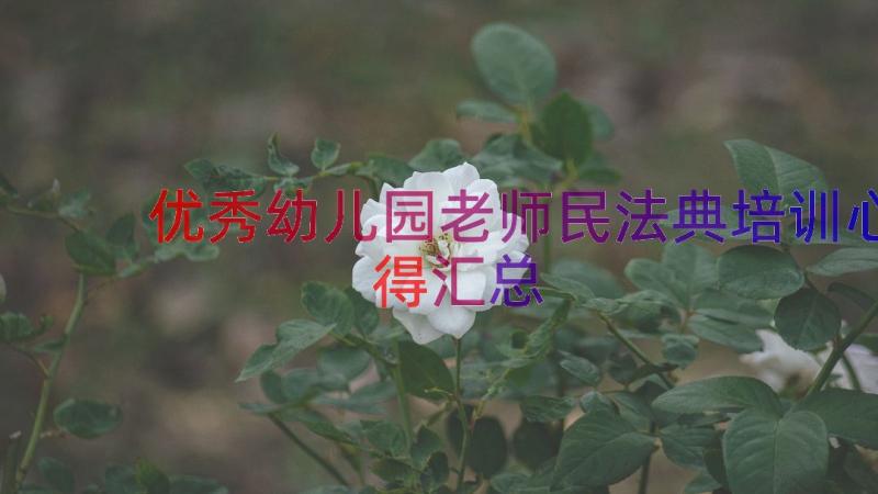 优秀幼儿园老师民法典培训心得（汇总16篇）