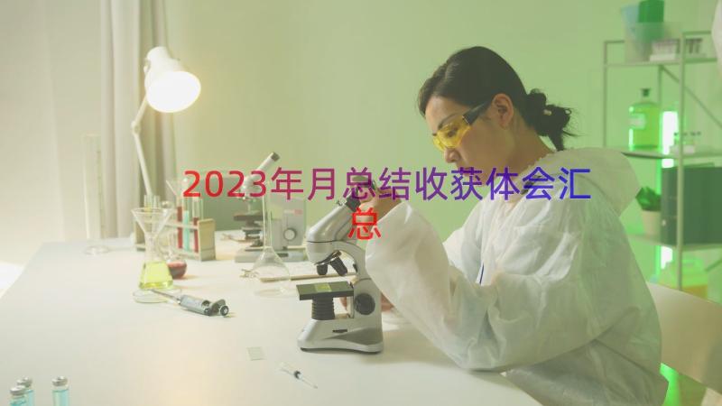 2023年月总结收获体会（汇总12篇）