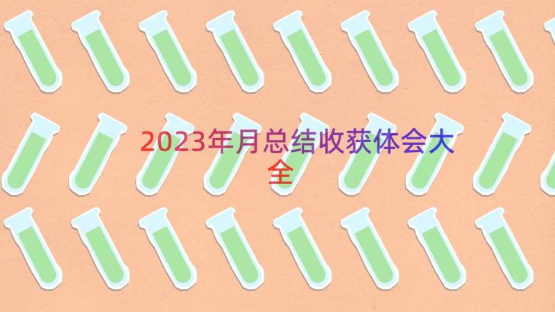 2023年月总结收获体会大全（14篇）