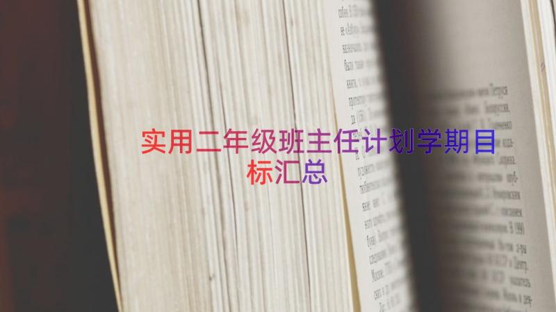 实用二年级班主任计划学期目标（汇总18篇）