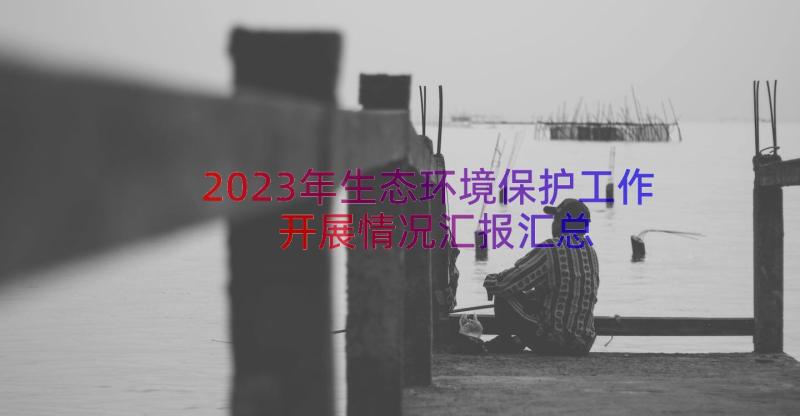 2023年生态环境保护工作开展情况汇报（汇总17篇）