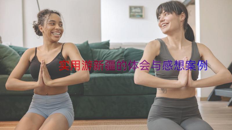 实用游新疆的体会与感想（案例14篇）