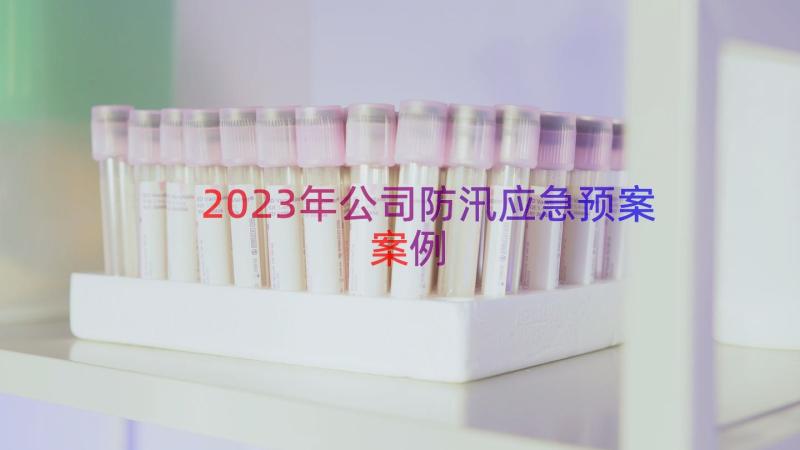 2023年公司防汛应急预案（案例13篇）