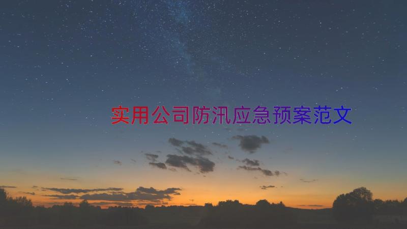 实用公司防汛应急预案范文（17篇）