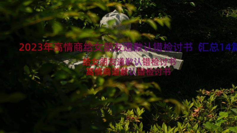 2023年高情商给女朋友道歉认错检讨书（汇总14篇）