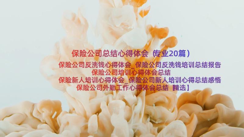 保险公司总结心得体会（专业20篇）