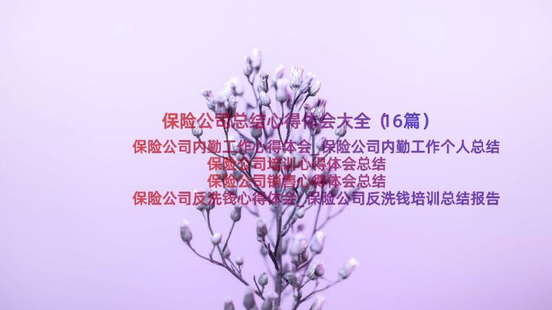 保险公司总结心得体会大全（16篇）