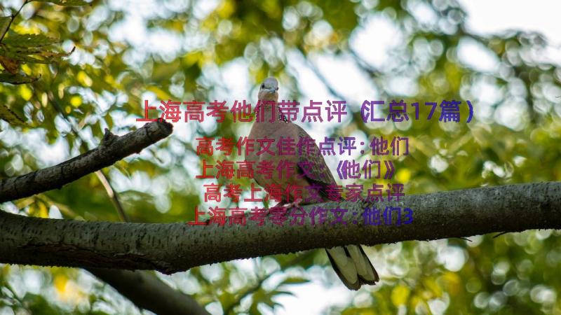 上海高考他们带点评（汇总17篇）