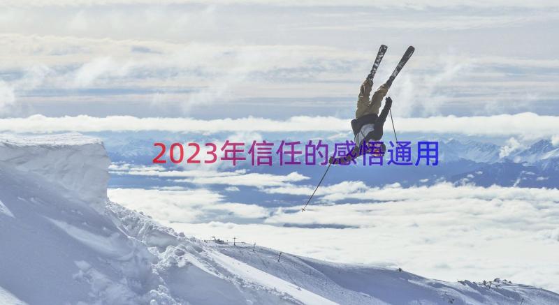 2023年信任的感悟（通用15篇）