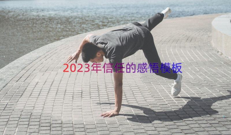 2023年信任的感悟（模板16篇）