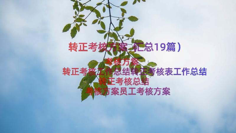 转正考核方案（汇总19篇）