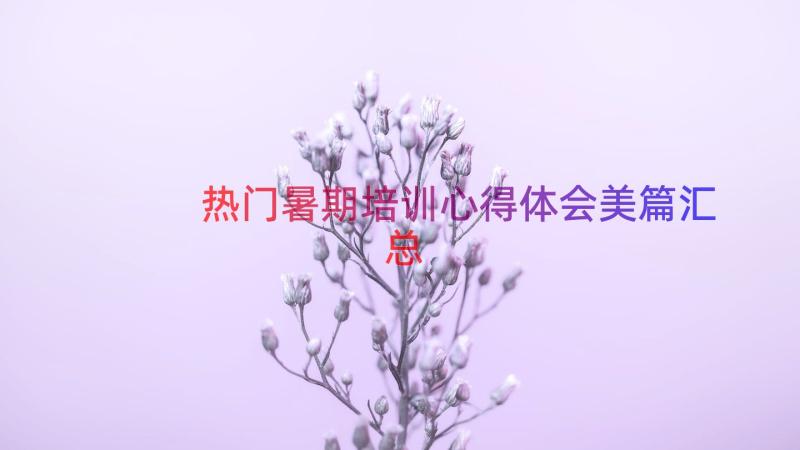 热门暑期培训心得体会美篇（汇总16篇）