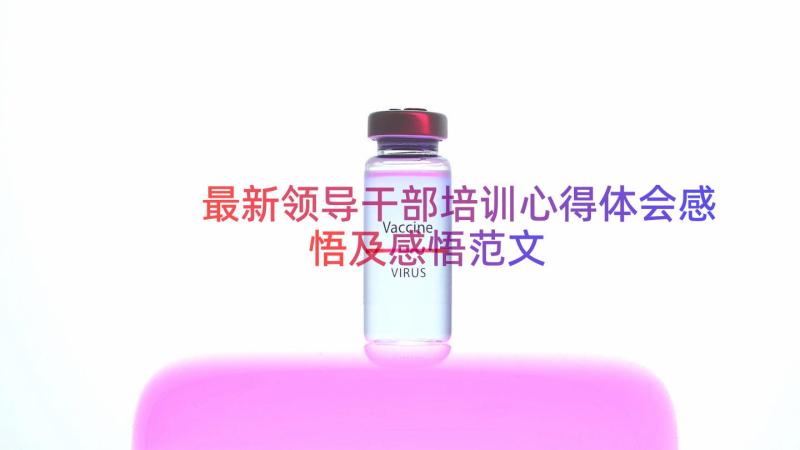 最新领导干部培训心得体会感悟及感悟范文（17篇）