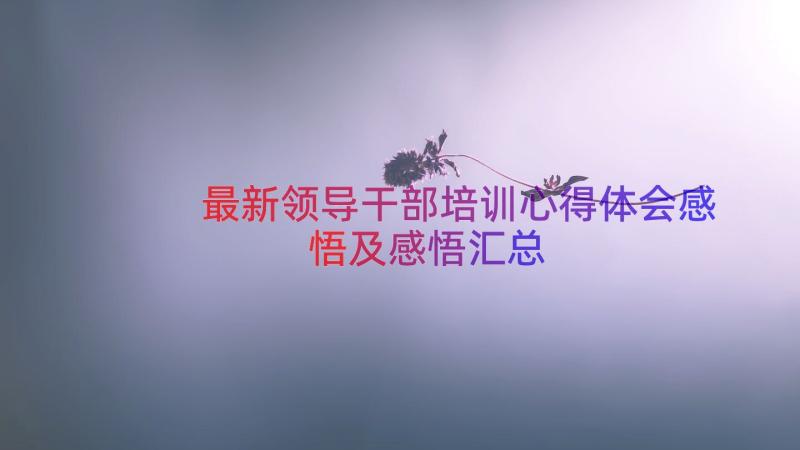 最新领导干部培训心得体会感悟及感悟（汇总12篇）