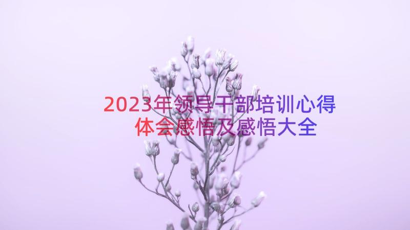 2023年领导干部培训心得体会感悟及感悟大全（15篇）