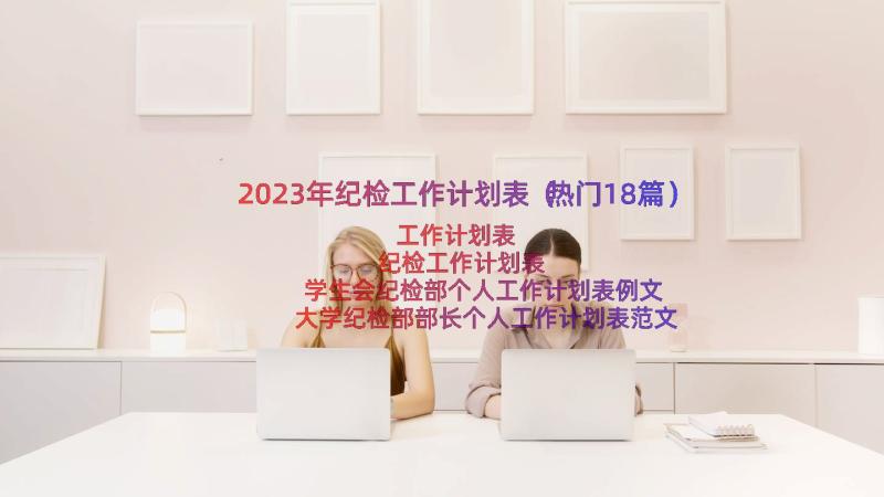 2023年纪检工作计划表（热门18篇）