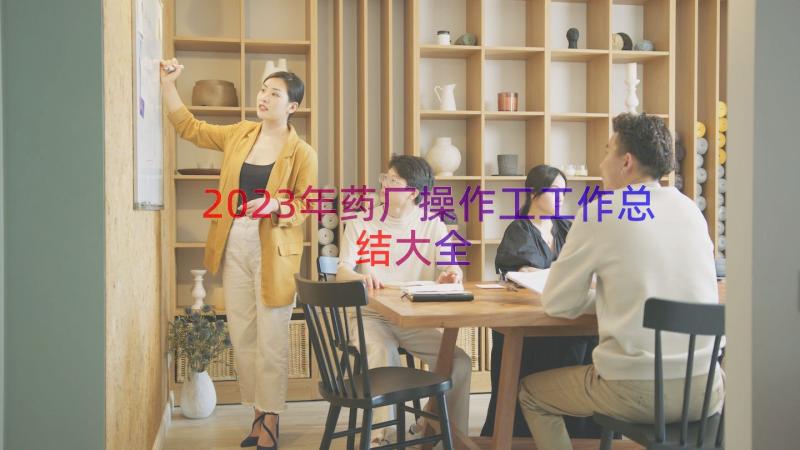 2023年药厂操作工工作总结大全（13篇）