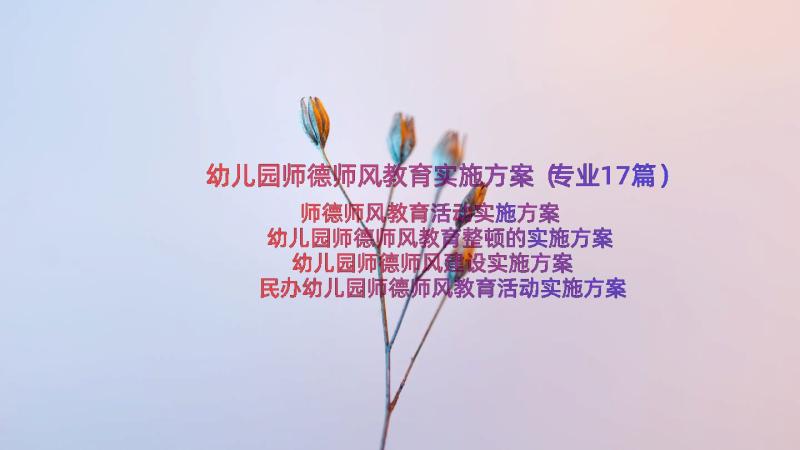 幼儿园师德师风教育实施方案（专业17篇）