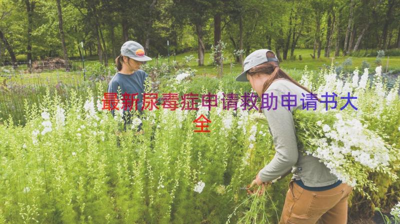 最新尿毒症申请救助申请书大全（17篇）