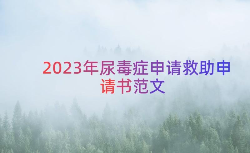 2023年尿毒症申请救助申请书范文（13篇）