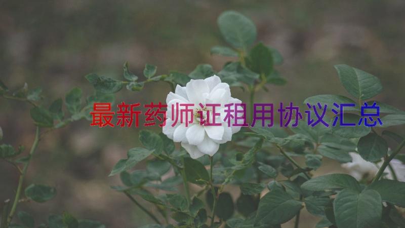 最新药师证租用协议（汇总14篇）