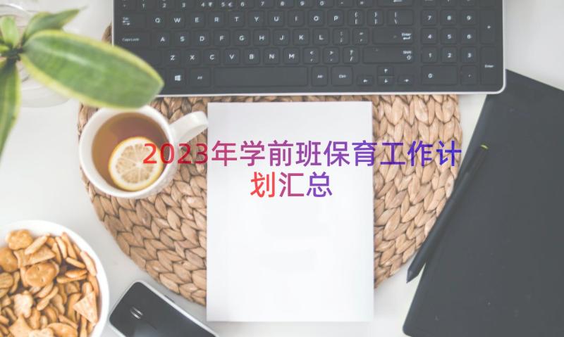 2023年学前班保育工作计划（汇总18篇）