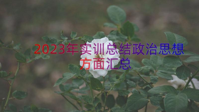 2023年实训总结政治思想方面（汇总17篇）